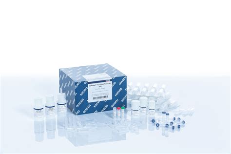 dna isolation kit
